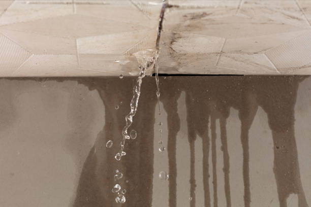 Professional Flood Damage Cleanup technician working in Champlin, MN